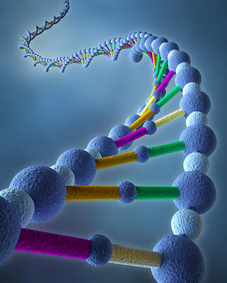genetic_testing_DNA